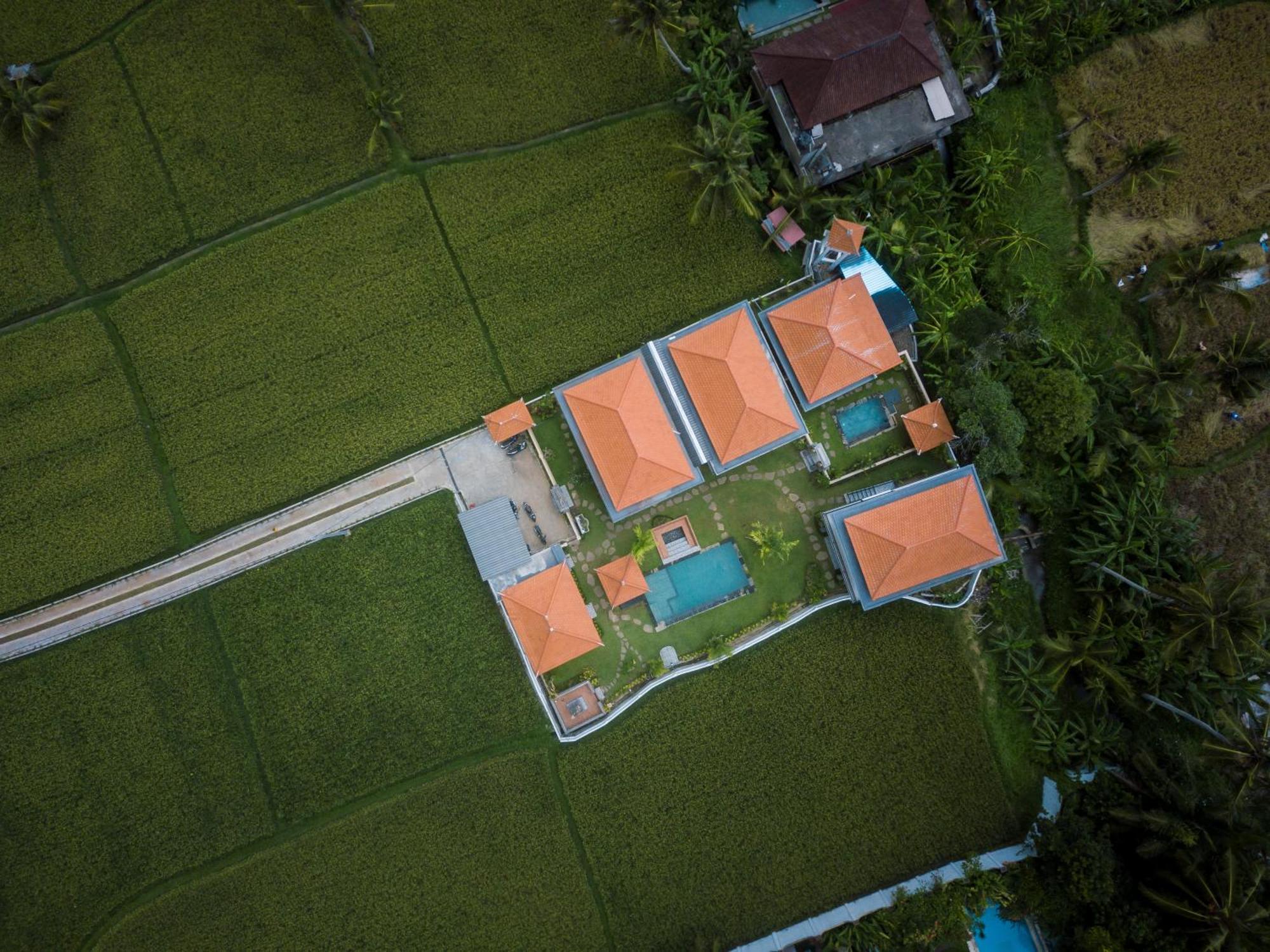 The Patra Ubud 外观 照片